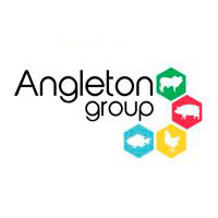 angleton-group